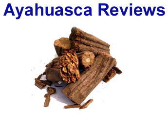 Buy Ayahuasca Here!