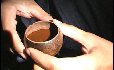 Ayahuasca Tea
